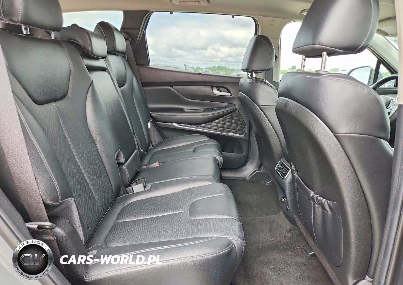 2023 Hyundai Santa Fe Sel Premium VIN:5NMS3DA10PH014439 - 11