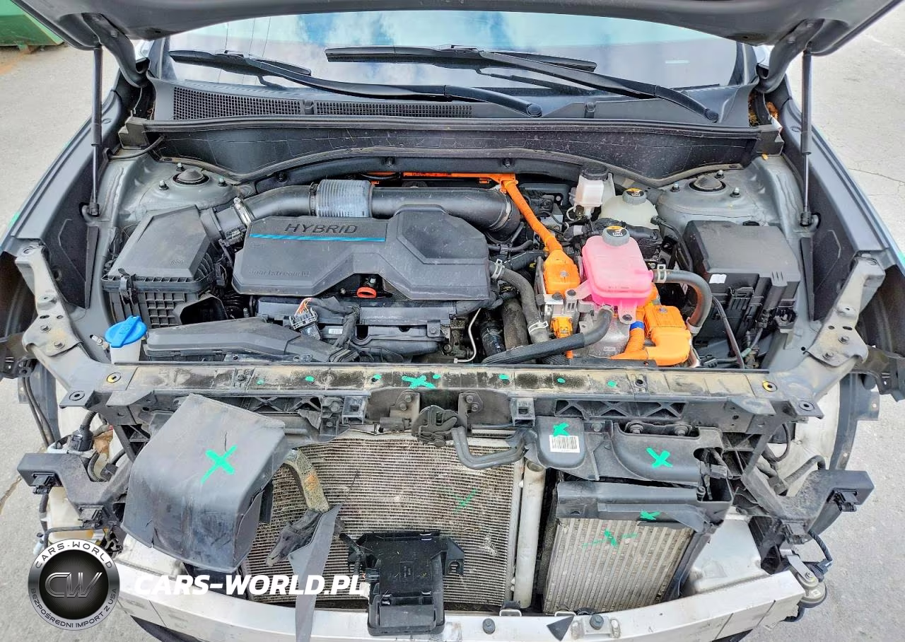 2023 Hyundai Santa Fe Sel Premium VIN:5NMS3DA10PH014439 - 12
