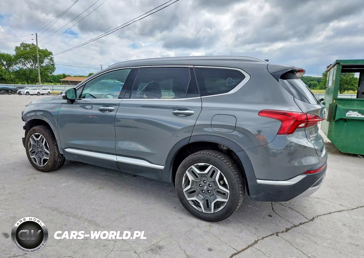2023 Hyundai Santa Fe Sel Premium VIN:5NMS3DA10PH014439 - 2
