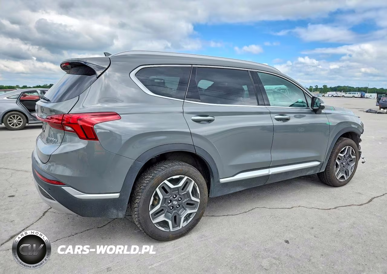 2023 Hyundai Santa Fe Sel Premium VIN:5NMS3DA10PH014439 - 3