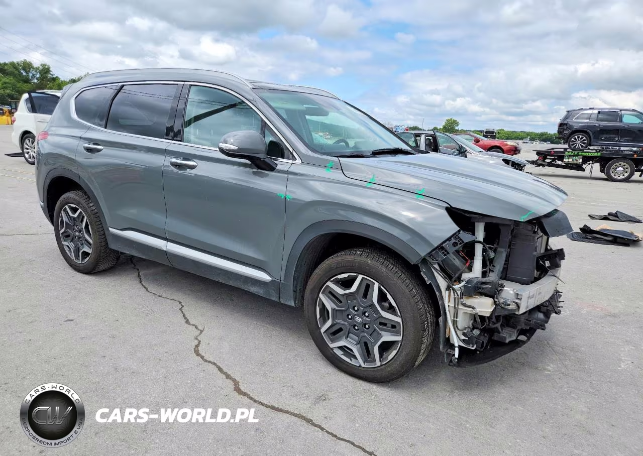 2023 Hyundai Santa Fe Sel Premium VIN:5NMS3DA10PH014439 - 4