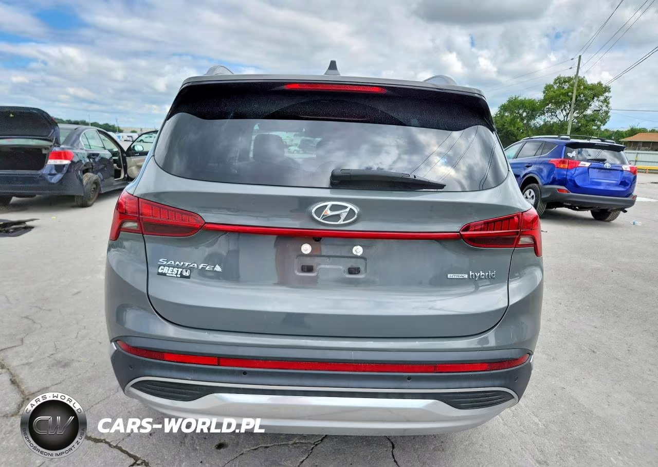 2023 Hyundai Santa Fe Sel Premium VIN:5NMS3DA10PH014439 - 6