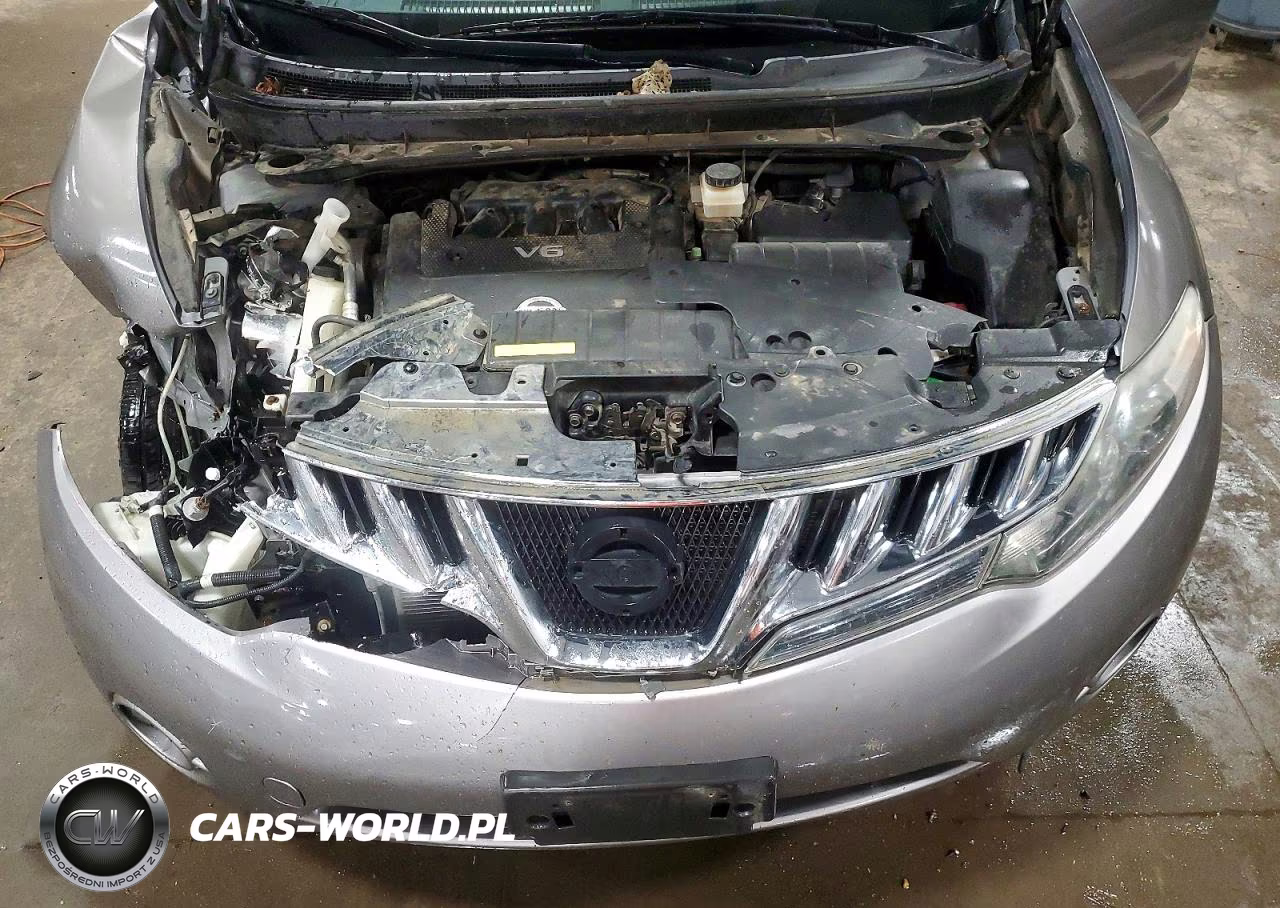 2009 Nissan Murano S VIN:JN8AZ18W19W215068 - 11