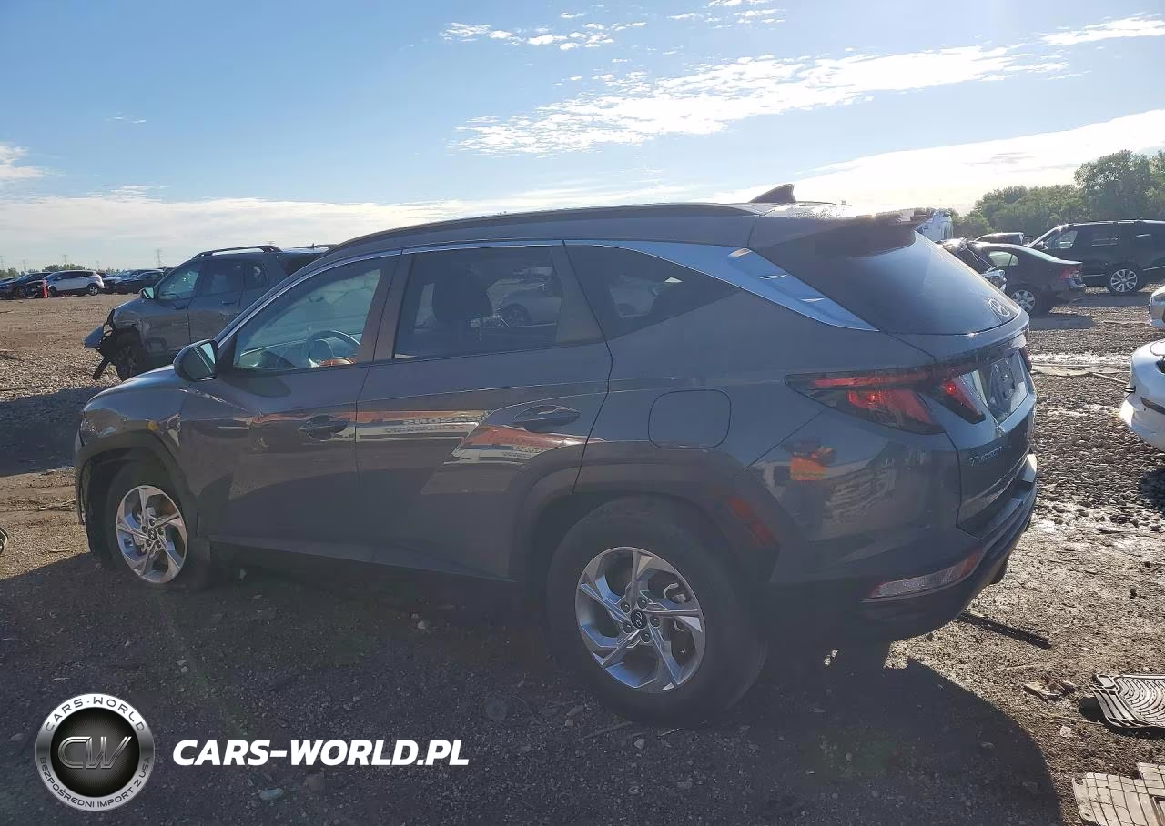 2024 Hyundai Tucson Sel VIN:5NMJBCDE4RH349407 - 2