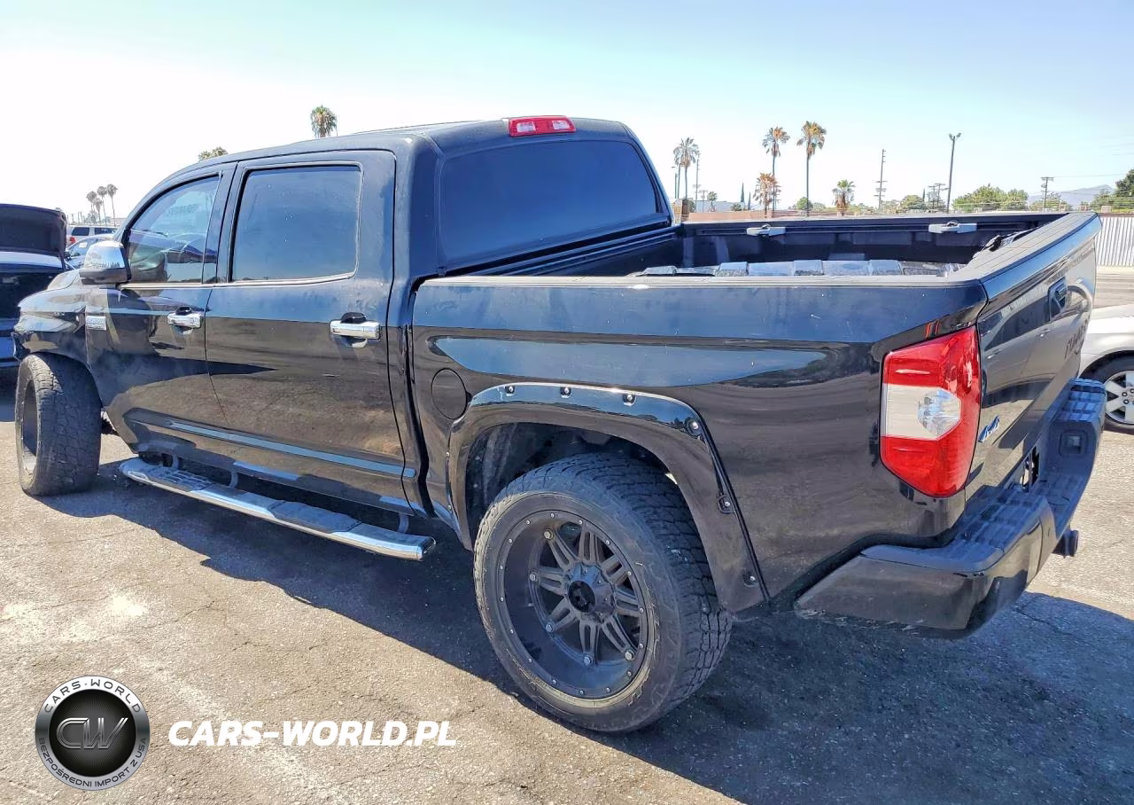 2018 Toyota Tundra Platinum VIN:5TFAW5F10JX696397 - 2