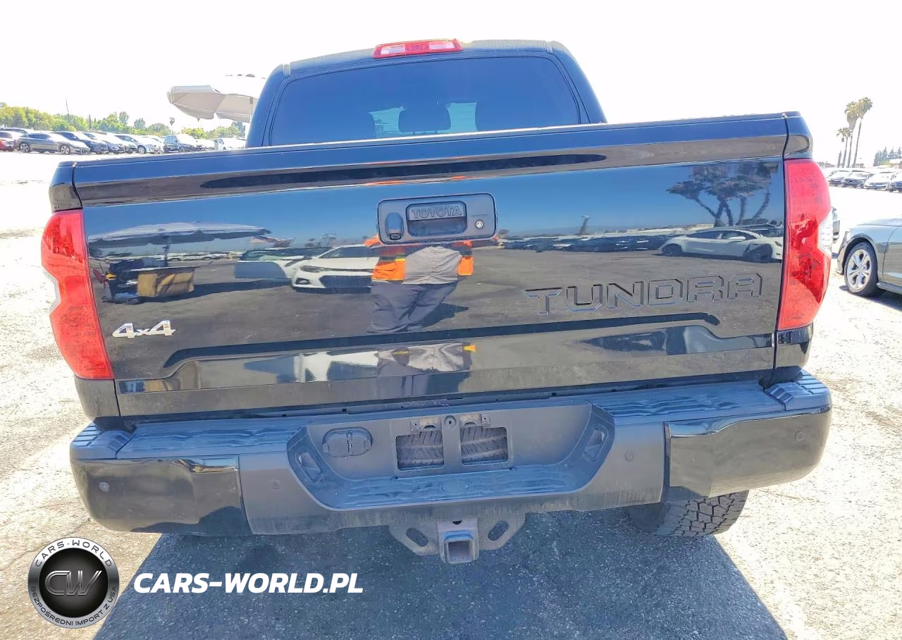 2018 Toyota Tundra Platinum VIN:5TFAW5F10JX696397 - 6