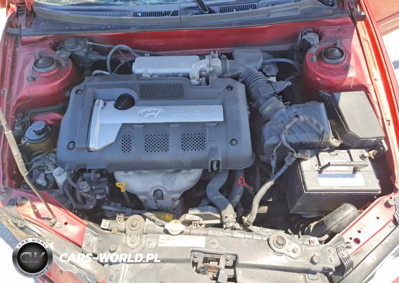 2004 Hyundai Elantra Gls-Gt VIN:KMHDN46DX4U909507 - 11
