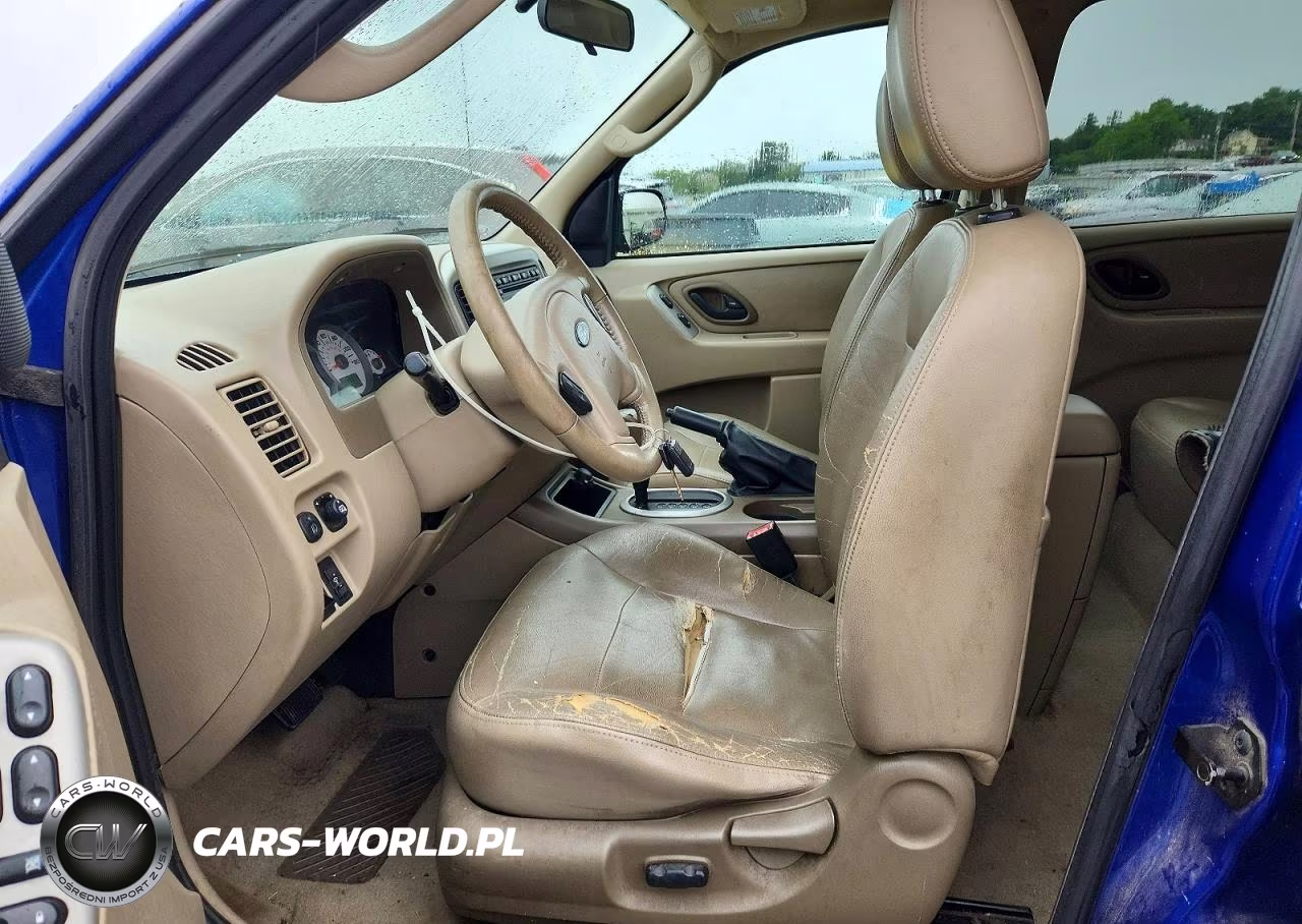 2006 Ford Escape Xlt VIN:1FMYU931X6KB57799 - 7