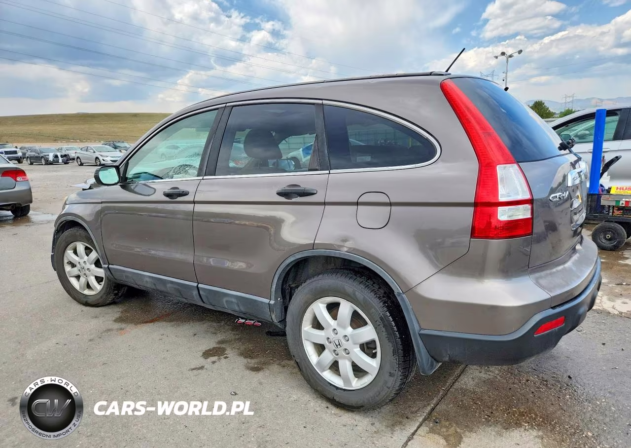 2009 Honda Cr-V Ex VIN:5J6RE485X9L013862 - 2