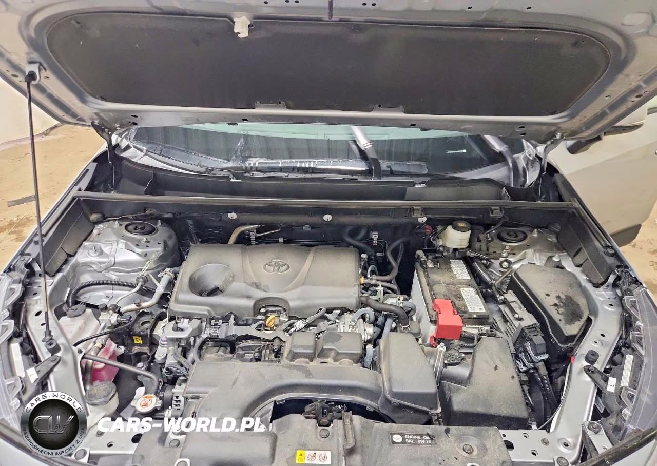 2025 Toyota Rav4 Xle VIN:2T3W1RFV1SW387333 - 12
