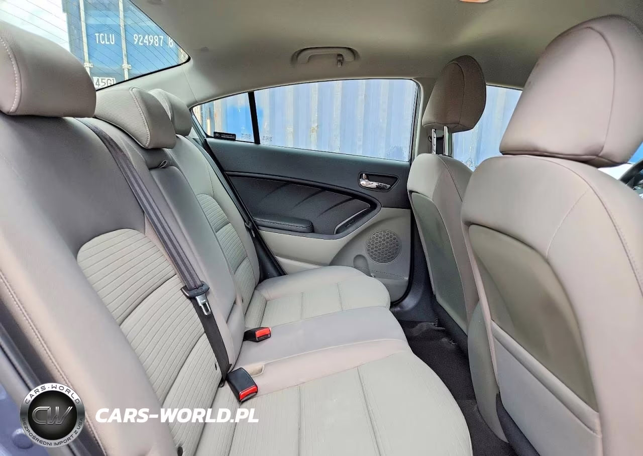 2014 Kia Forte Lx VIN:KNAFX4A60E5177588 - 10