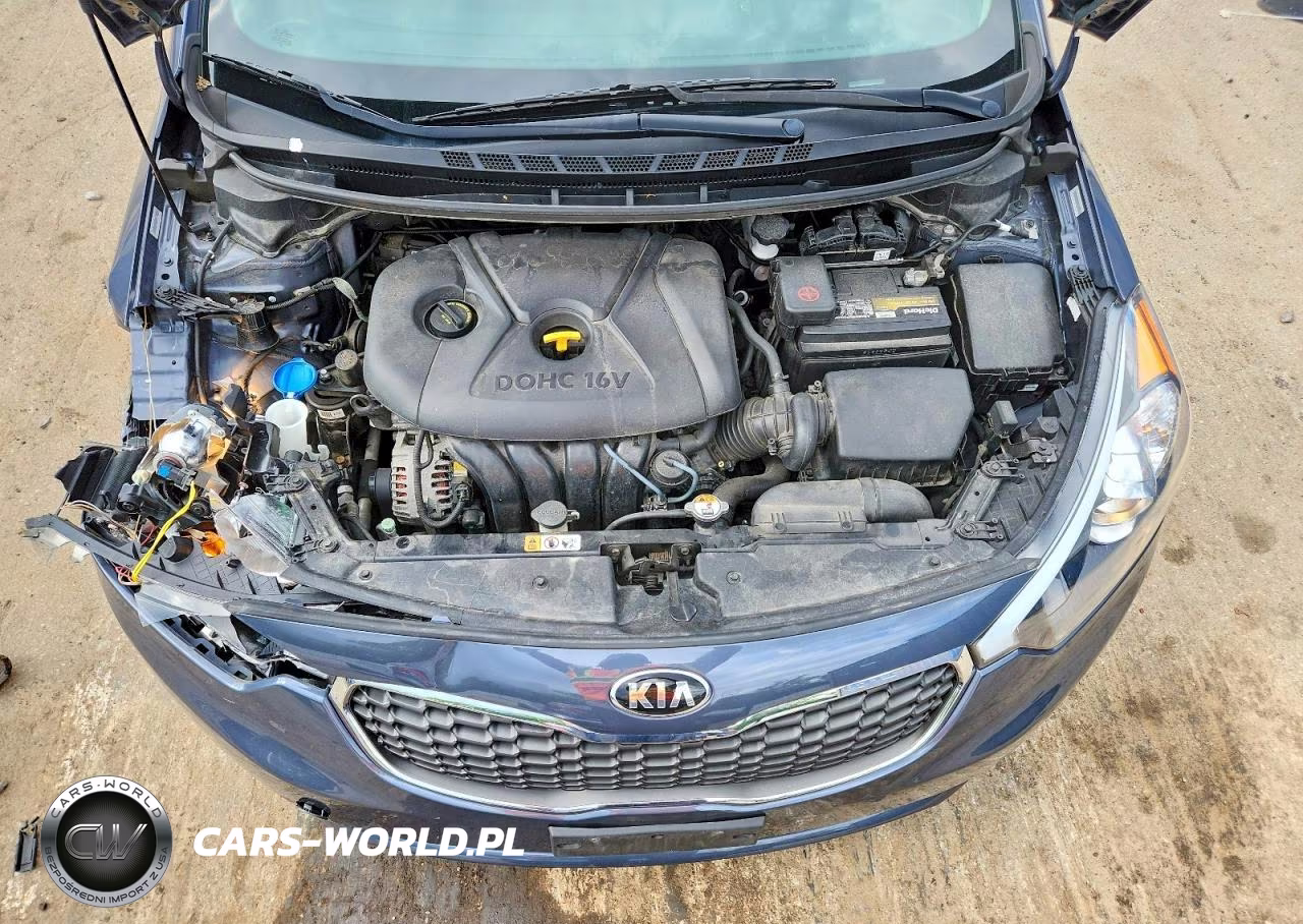 2014 Kia Forte Lx VIN:KNAFX4A60E5177588 - 11