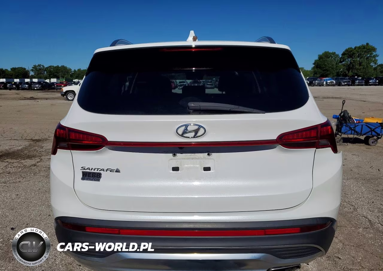 2021 Hyundai Santa Fe Sel VIN:5NMS24AJ8MH307021 - 6