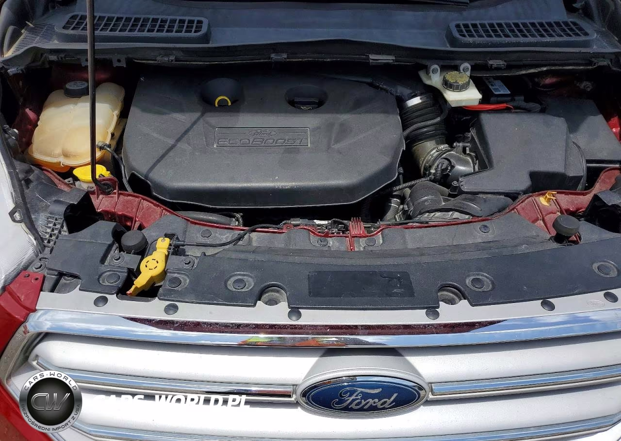 2014 Ford Escape VIN:1FMCU0J94EUA47591 - 11