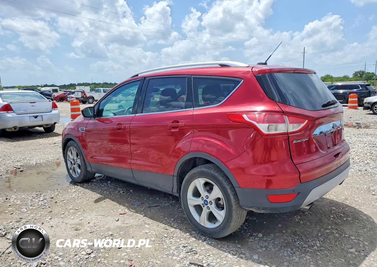 2014 Ford Escape VIN:1FMCU0J94EUA47591 - 2