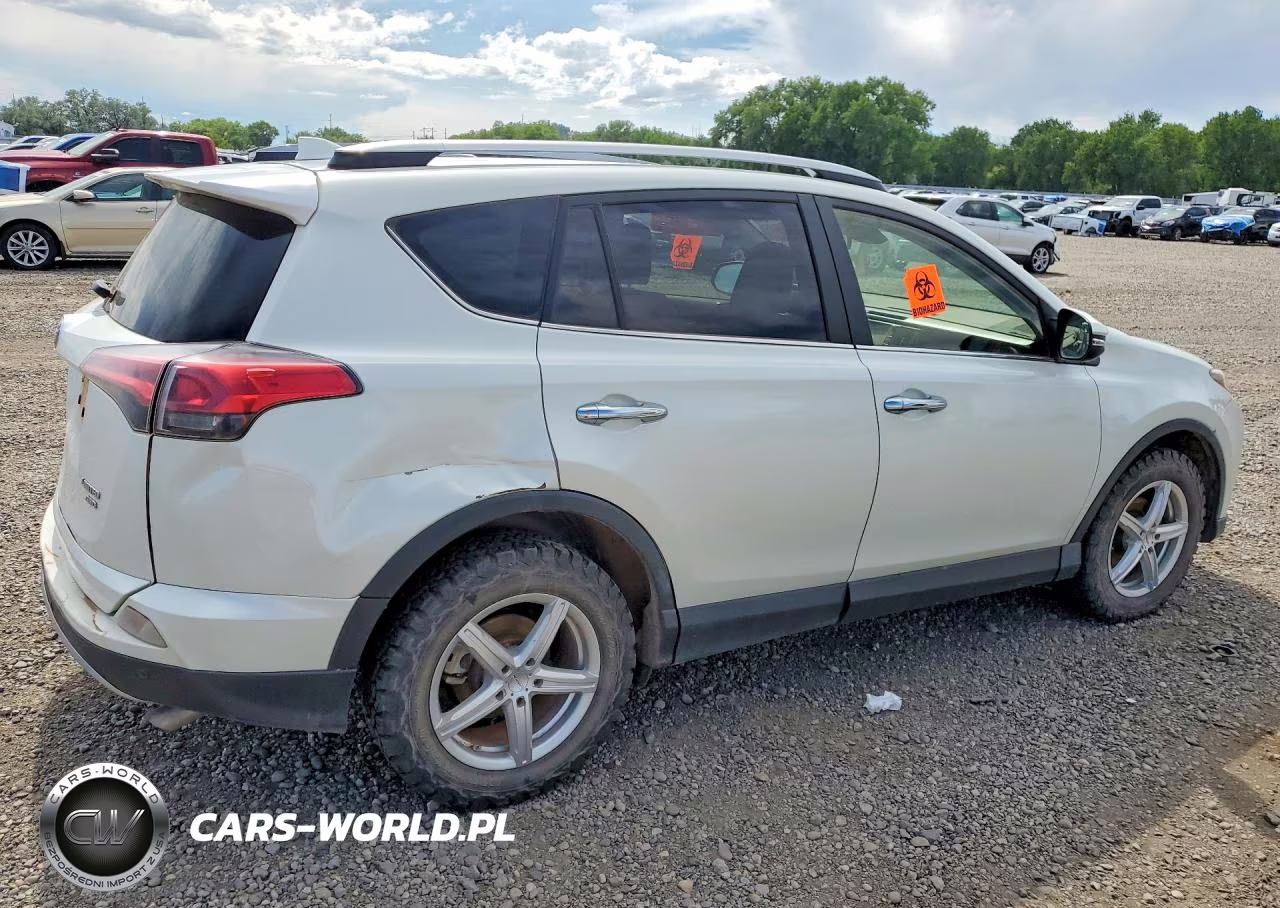 2018 Toyota Rav4 Limited VIN:JTMDFREV3JJ189991 - 3