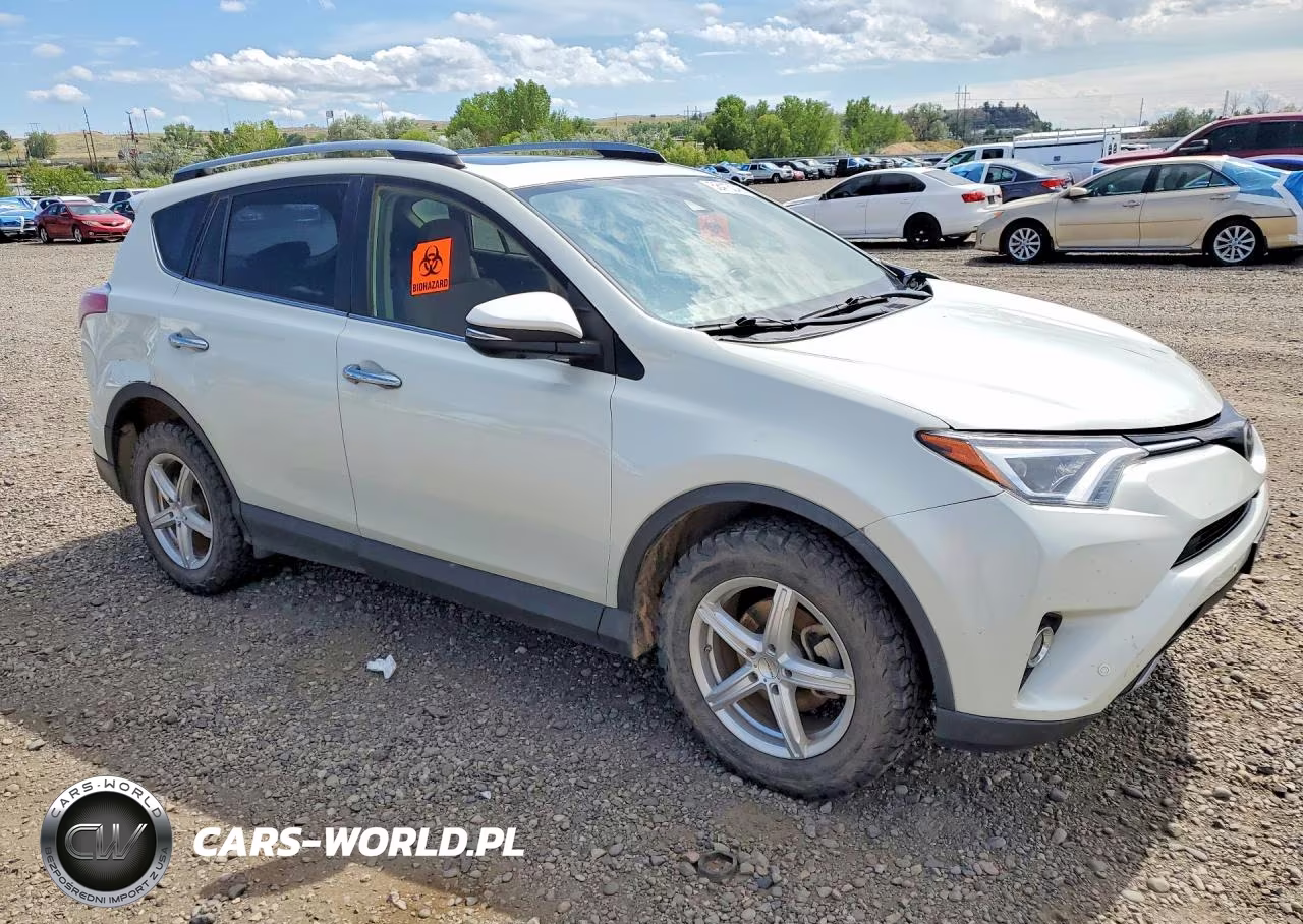 2018 Toyota Rav4 Limited VIN:JTMDFREV3JJ189991 - 4