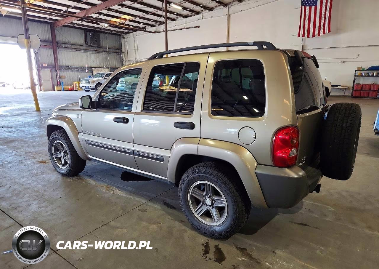 2004 Jeep Liberty Sport VIN:1J4GL48K14W171338 - 2