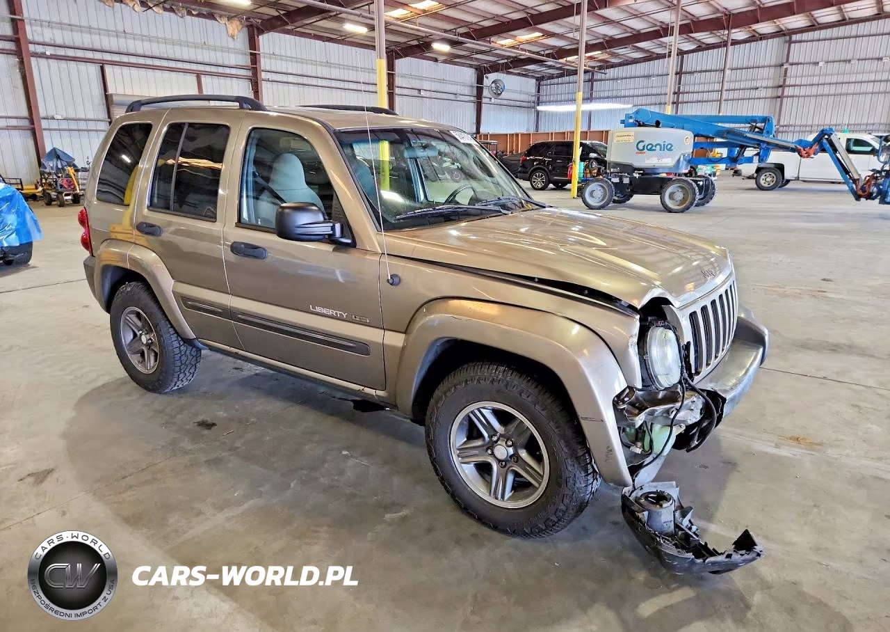 2004 Jeep Liberty Sport VIN:1J4GL48K14W171338 - 4