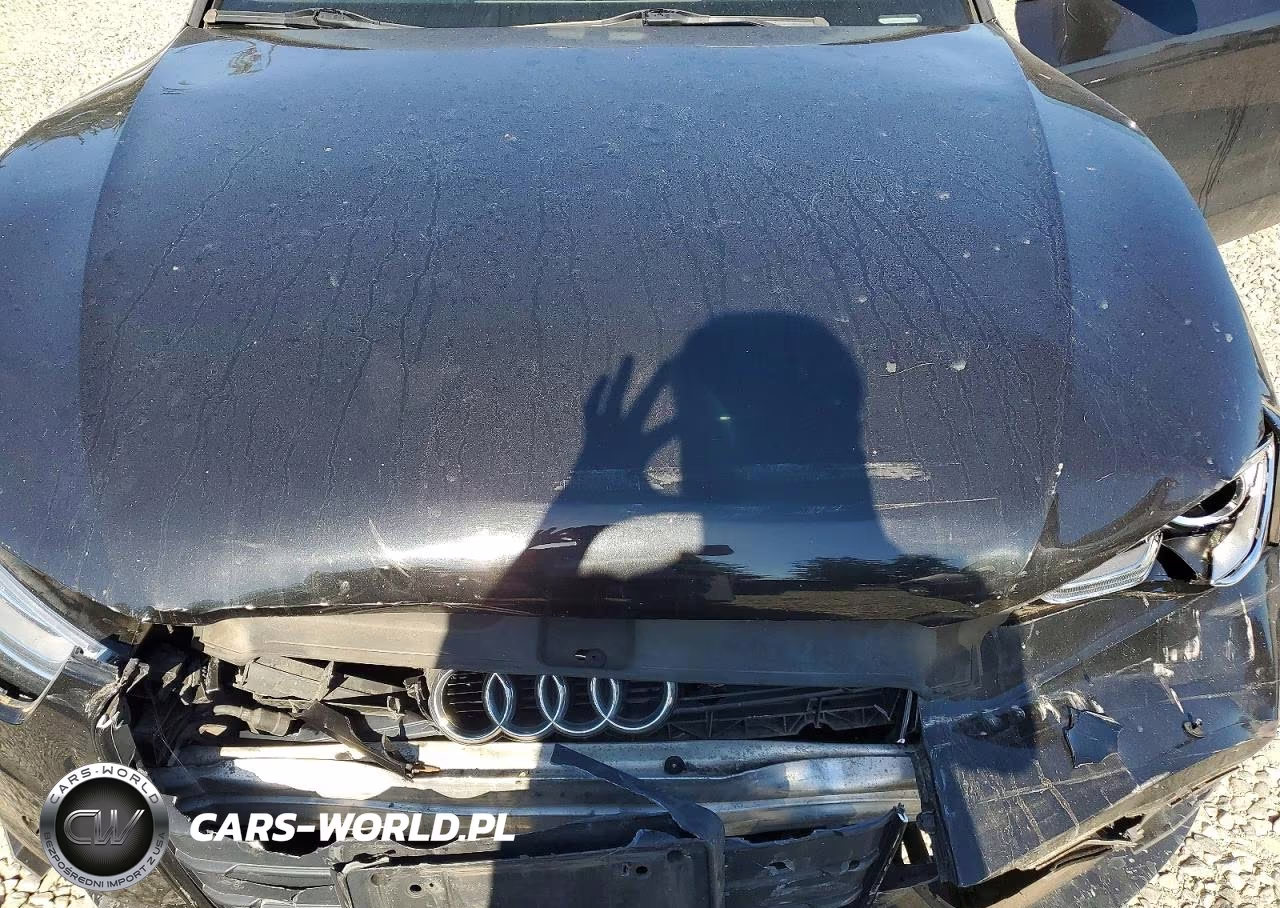 2014 Audi A5 Premium Plus VIN:WAULFAFR3EA029627 - 11