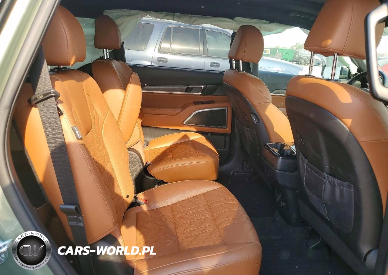 2024 Kia Telluride Ex X-Line VIN:5XYP3DGC4RG476238 - 10