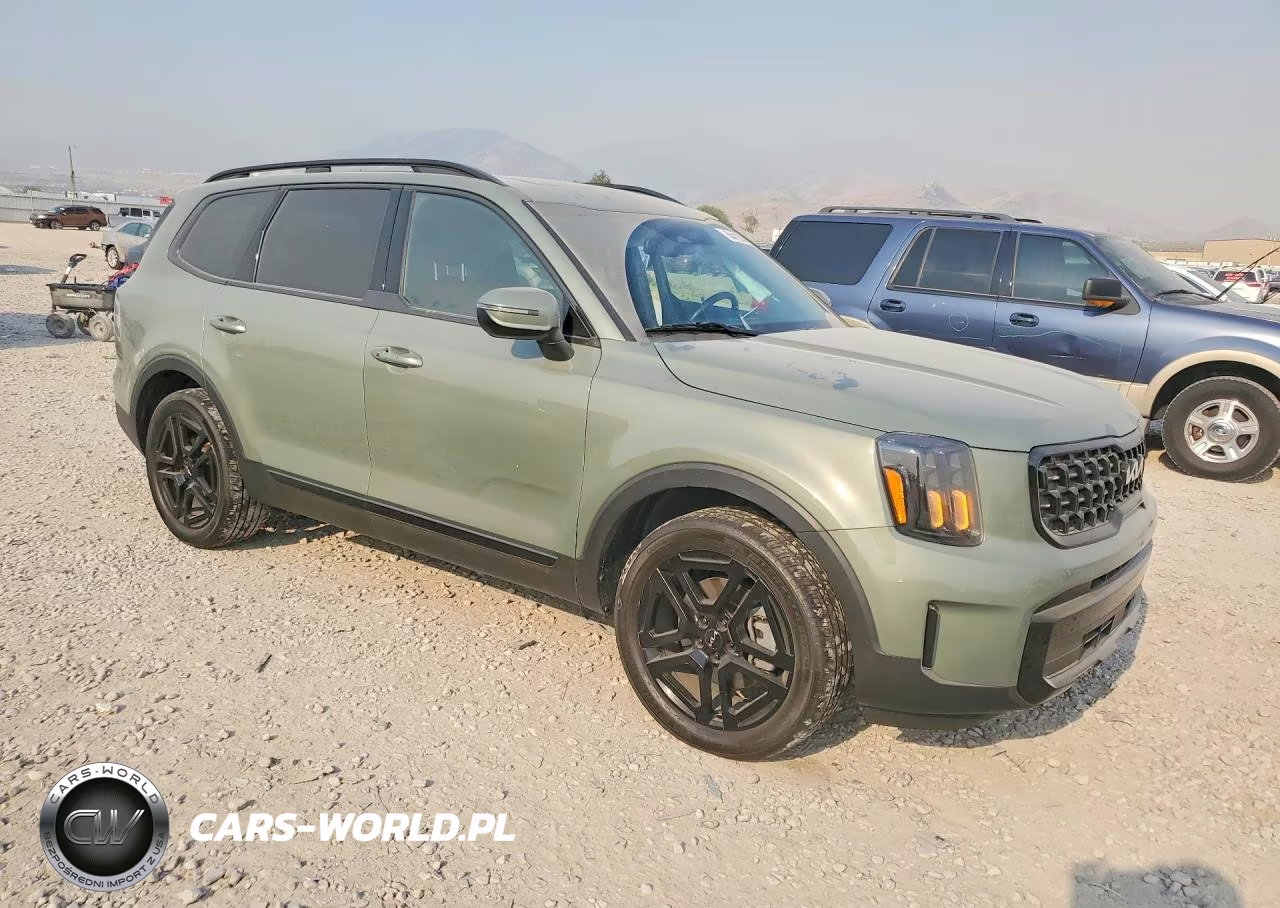 2024 Kia Telluride Ex X-Line VIN:5XYP3DGC4RG476238 - 4