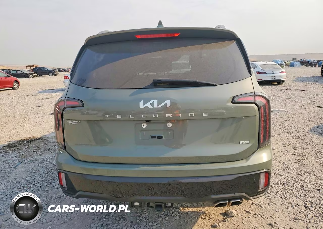 2024 Kia Telluride Ex X-Line VIN:5XYP3DGC4RG476238 - 6
