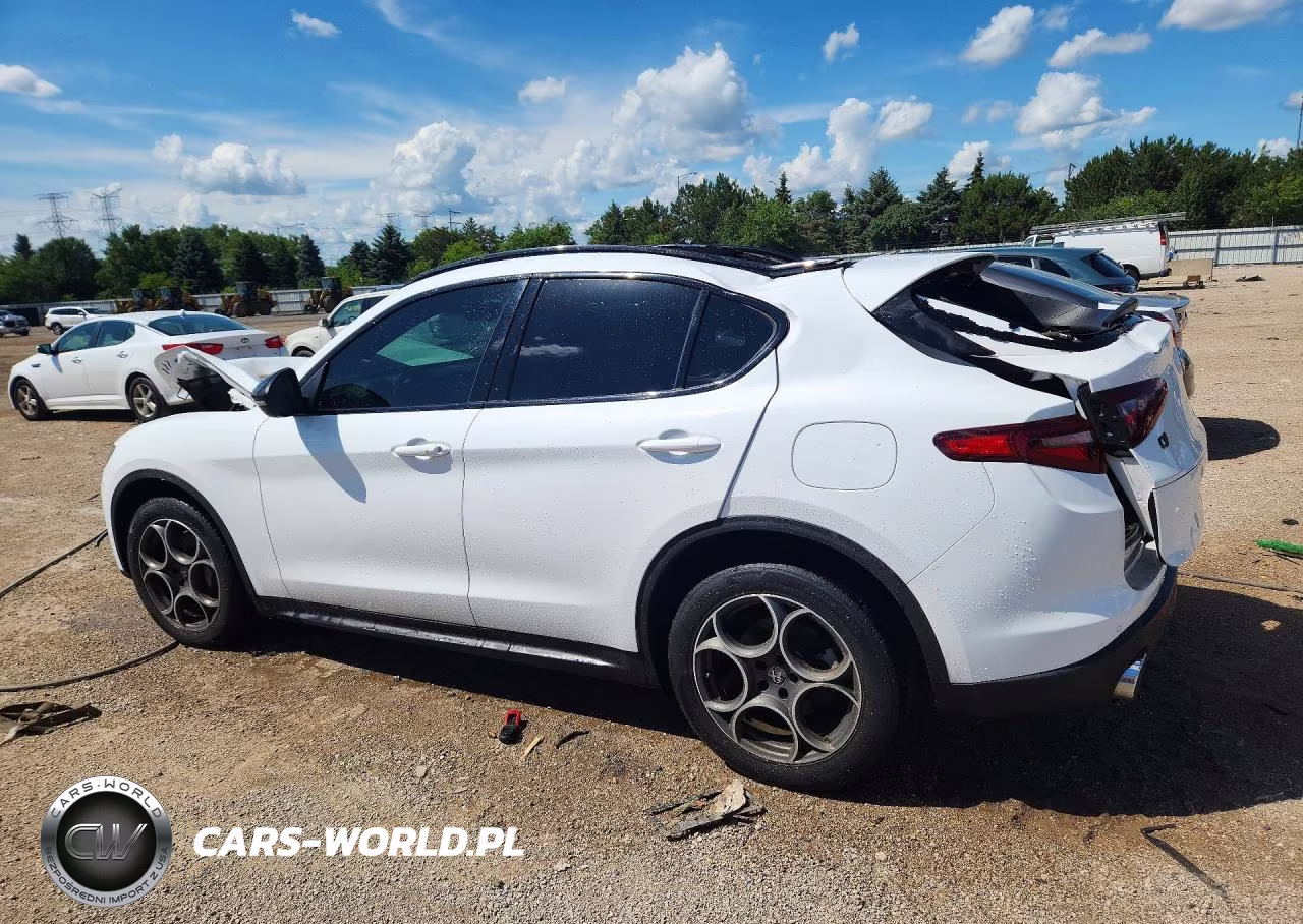 2021 Alfa Romeo Stelvio Sport VIN:ZASPAKAN2M7D01892 - 2