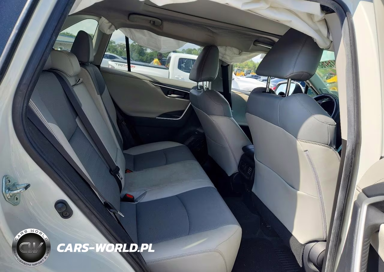 2019 Toyota Rav4 Limited VIN:JTMN1RFV4KD519168 - 10