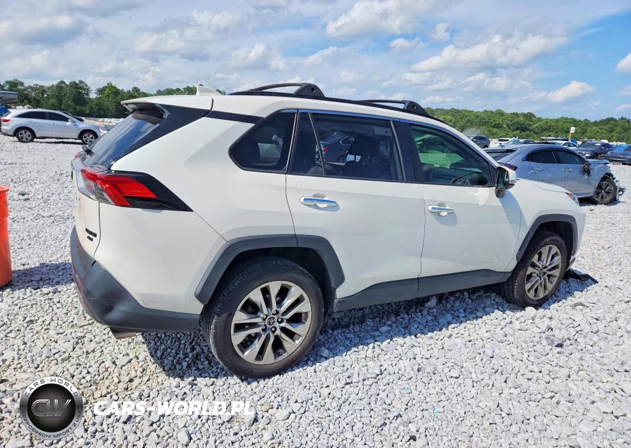 2019 Toyota Rav4 Limited VIN:JTMN1RFV4KD519168 - 3