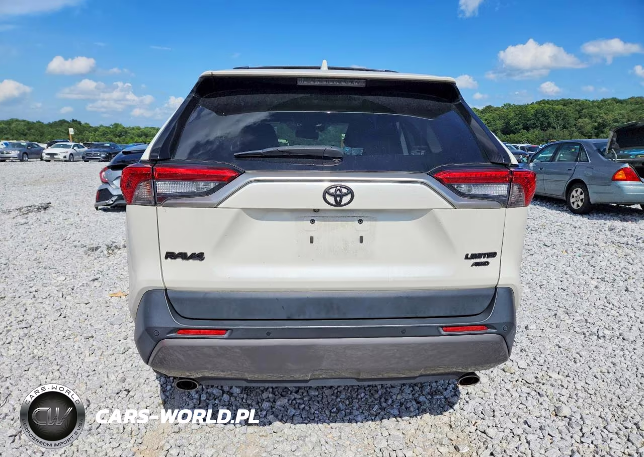 2019 Toyota Rav4 Limited VIN:JTMN1RFV4KD519168 - 6