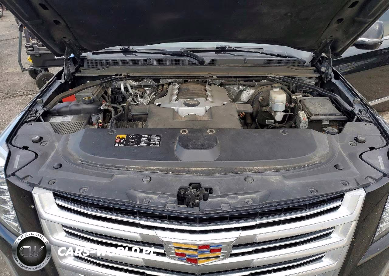 2016 Cadillac Escalade Esv Platinum VIN:1GYS4KKJ9GR460188 - 12