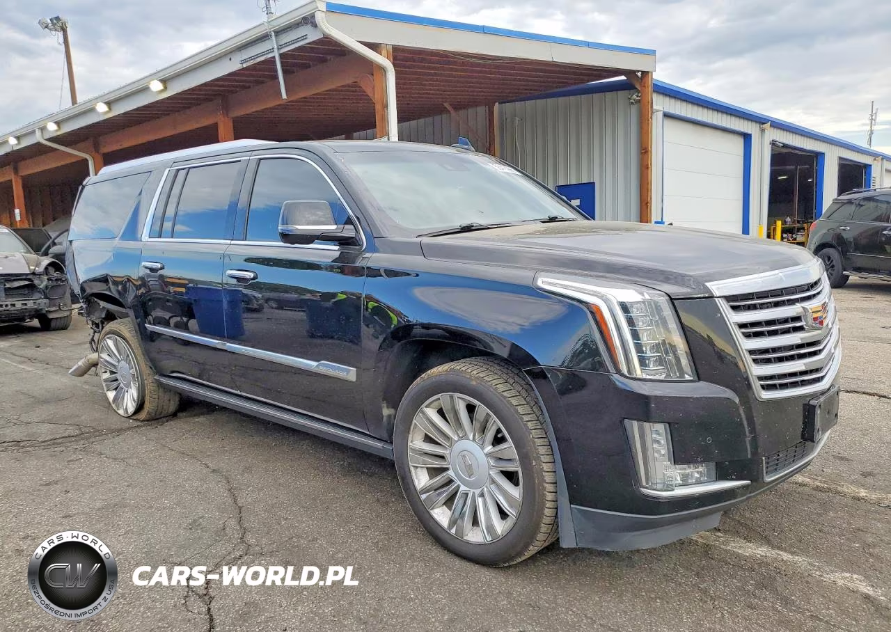 2016 Cadillac Escalade Esv Platinum VIN:1GYS4KKJ9GR460188 - 4
