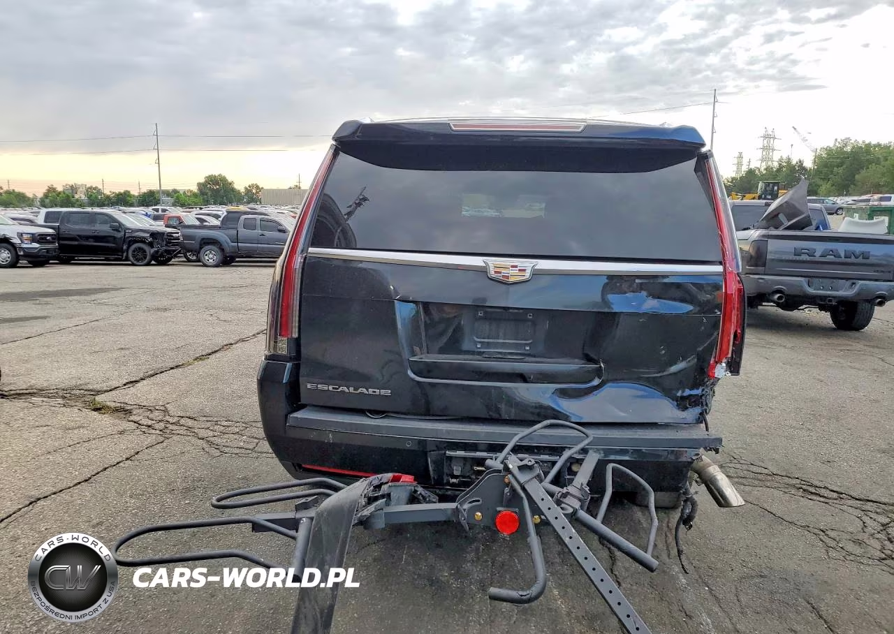 2016 Cadillac Escalade Esv Platinum VIN:1GYS4KKJ9GR460188 - 6