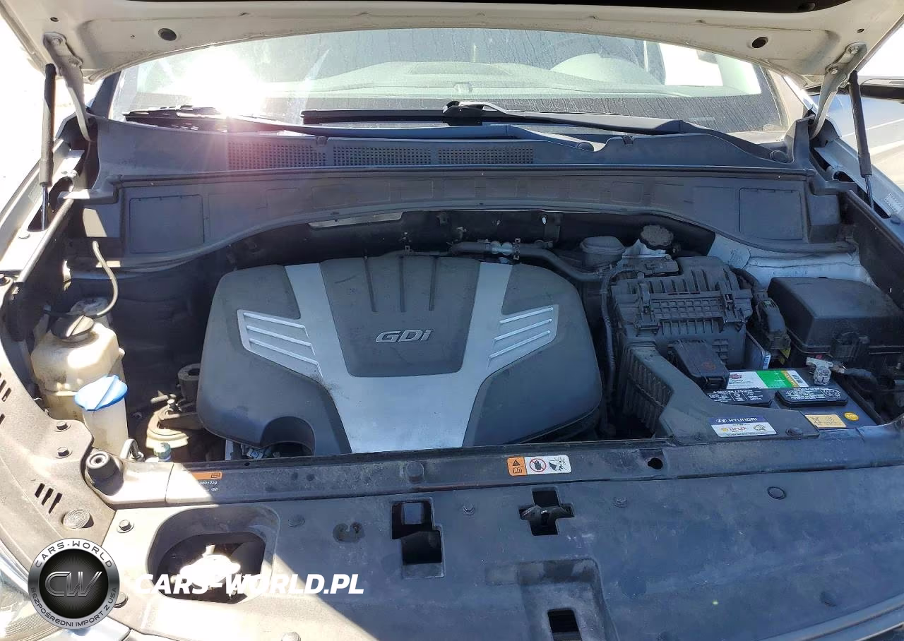 2017 Hyundai Santa Fe Se Ultimate VIN:KM8SRDHF6HU253693 - 12