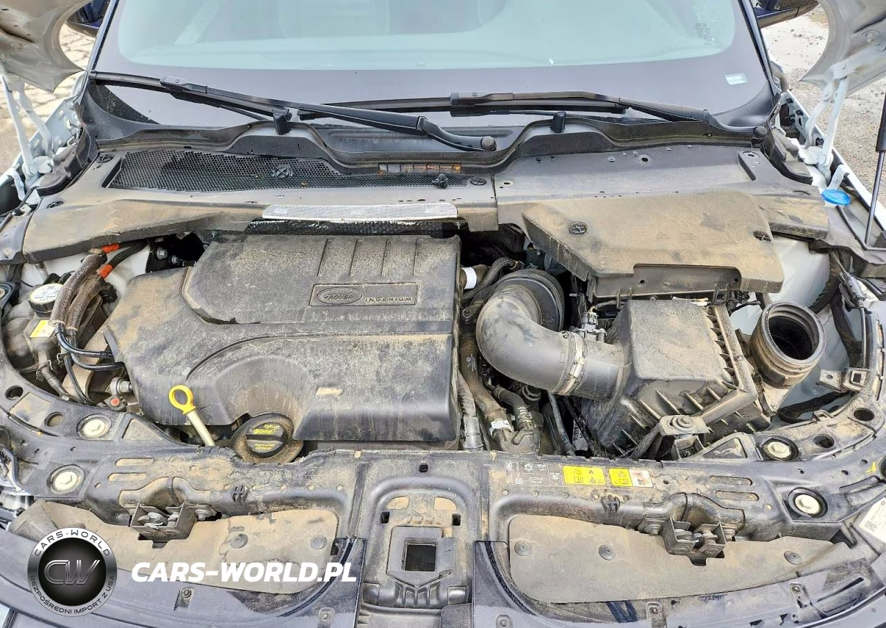 2022 Land Rover Range Rover Evoque R-Dynamic Se VIN:SALZL2FX5NH168605 - 12