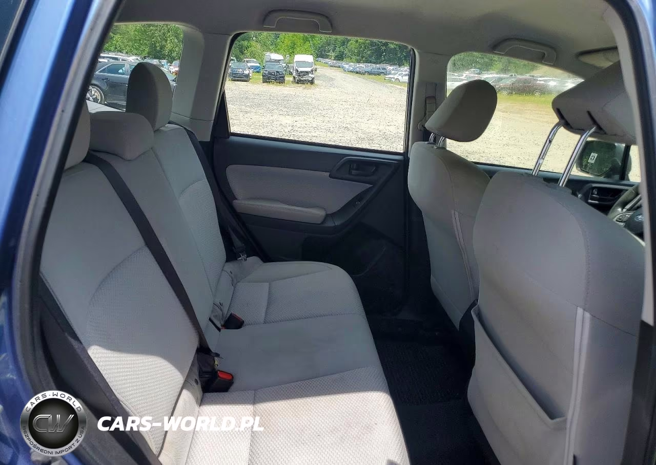 2017 Subaru Forester 2.5I VIN:JF2SJABC1HH805846 - 10