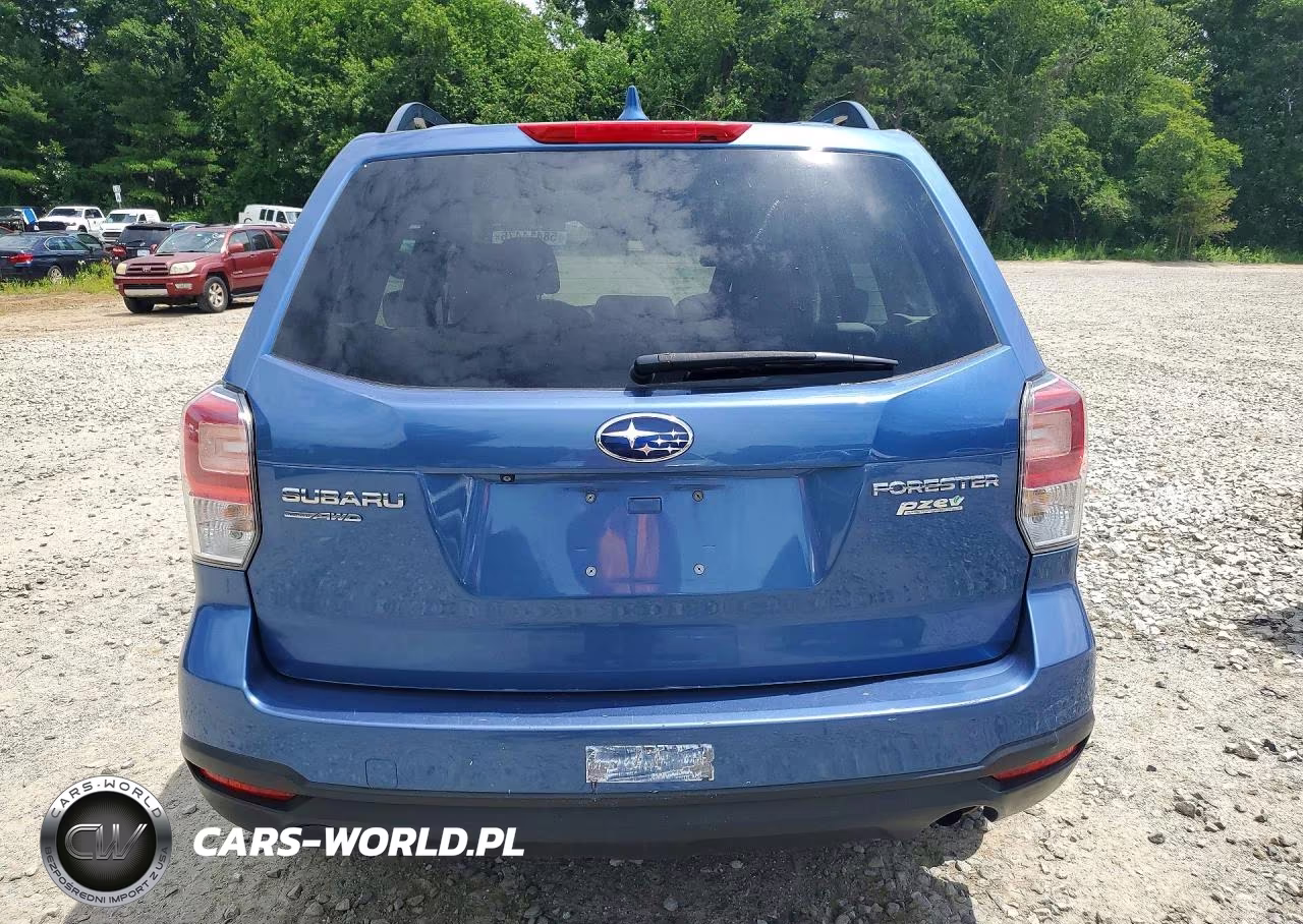 2017 Subaru Forester 2.5I VIN:JF2SJABC1HH805846 - 6