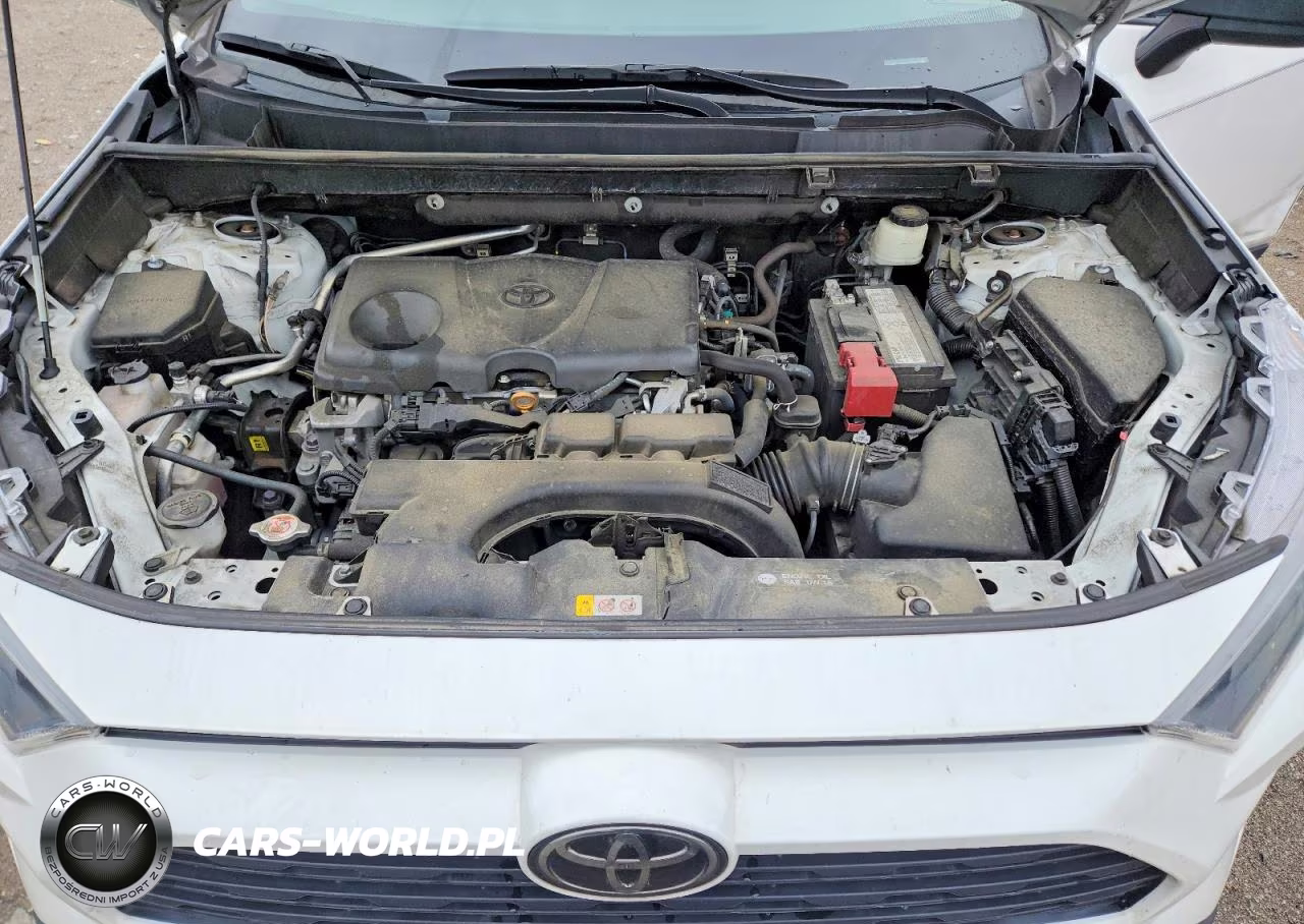 2019 Toyota Rav4 Le VIN:2T3H1RFV8KW025301 - 12
