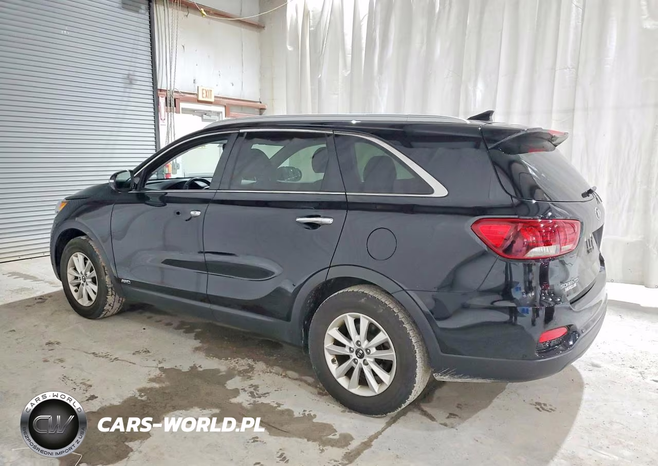 2019 Kia Sorento Lx VIN:5XYPGDA37KG574862 - 2