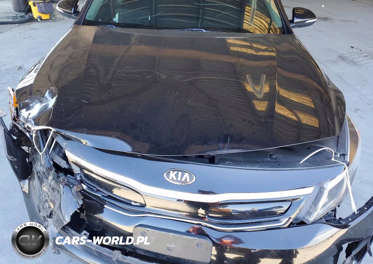 2017 Kia Optima Hybrid Ex VIN:KNAGU4LE9H5016632 - 11