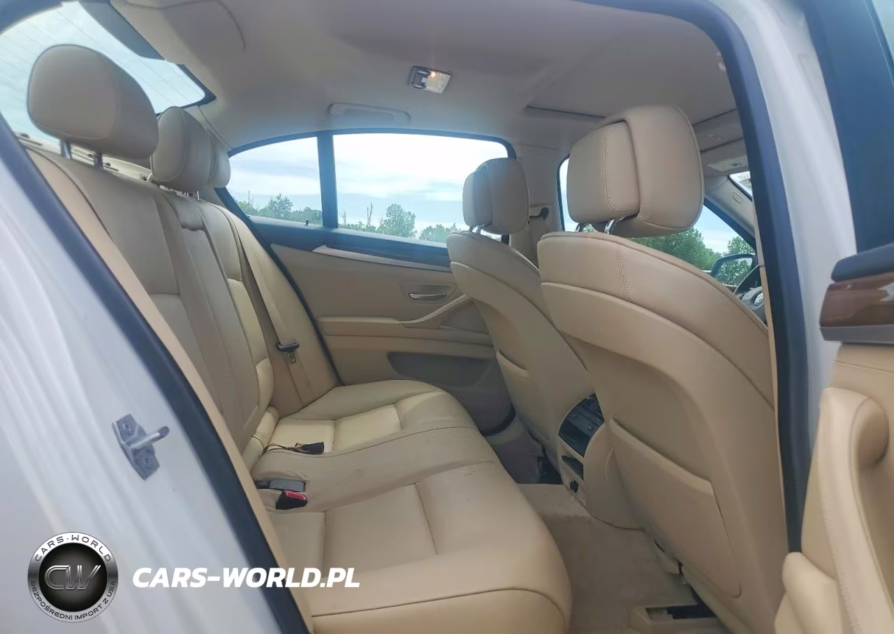 2013 BMW 528 Xi VIN:WBAXH5C52DD110510 - 10