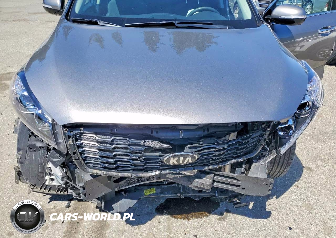 2019 Kia Sorento Lx V6 VIN:5XYPGDA58KG469877 - 12