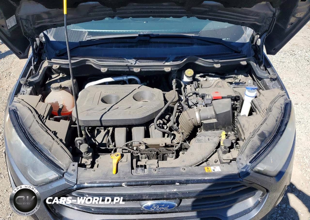 2020 Ford Ecosport Ses VIN:MAJ6S3JL1LC339499 - 12