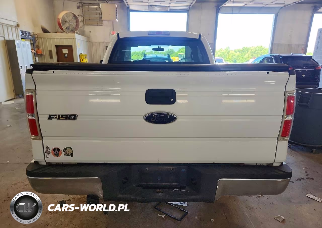2009 Ford F150 VIN:1FTRF12W89KA34718 - 6