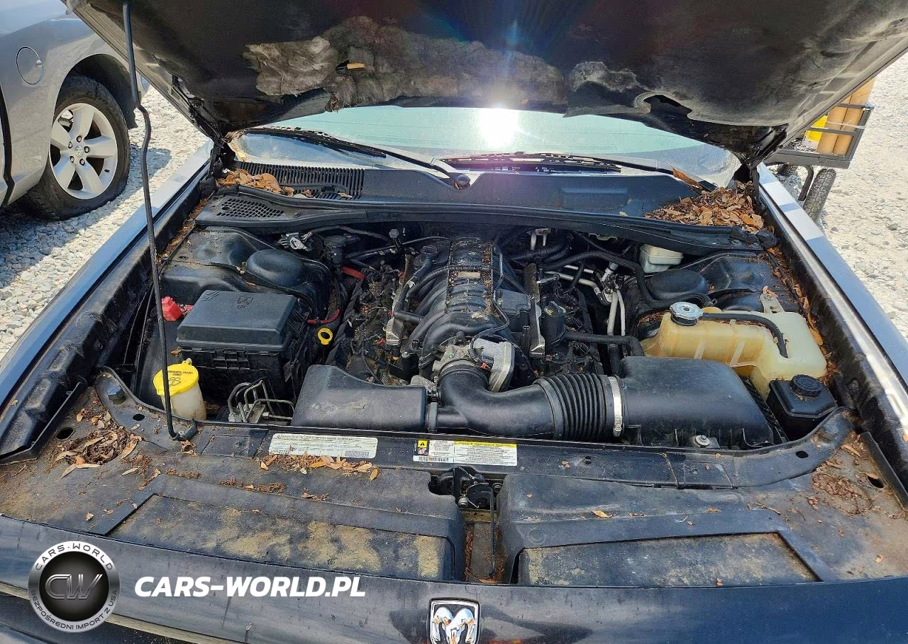 2010 Dodge Challenger R-T VIN:2B3CJ5DT5AH296725 - 11