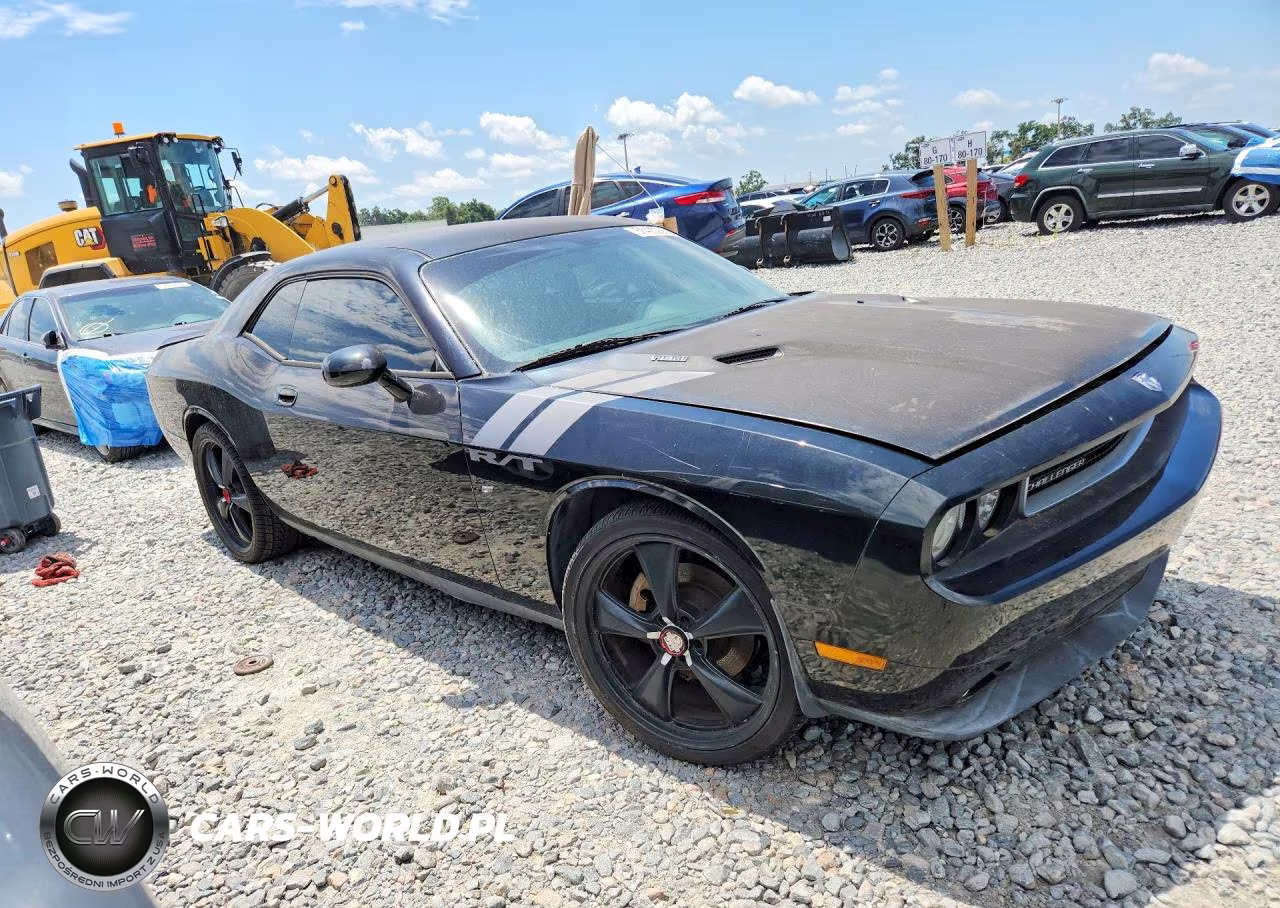 2010 Dodge Challenger R-T VIN:2B3CJ5DT5AH296725 - 4