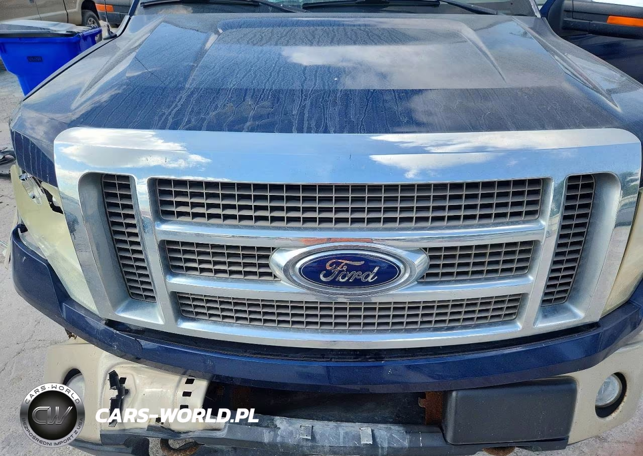2010 Ford F150 Supercrew VIN:1FTFW1EV3AKB84407 - 11