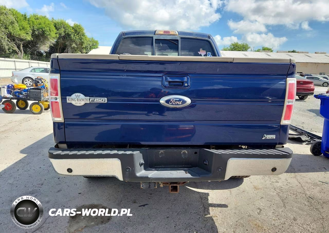 2010 Ford F150 Supercrew VIN:1FTFW1EV3AKB84407 - 6