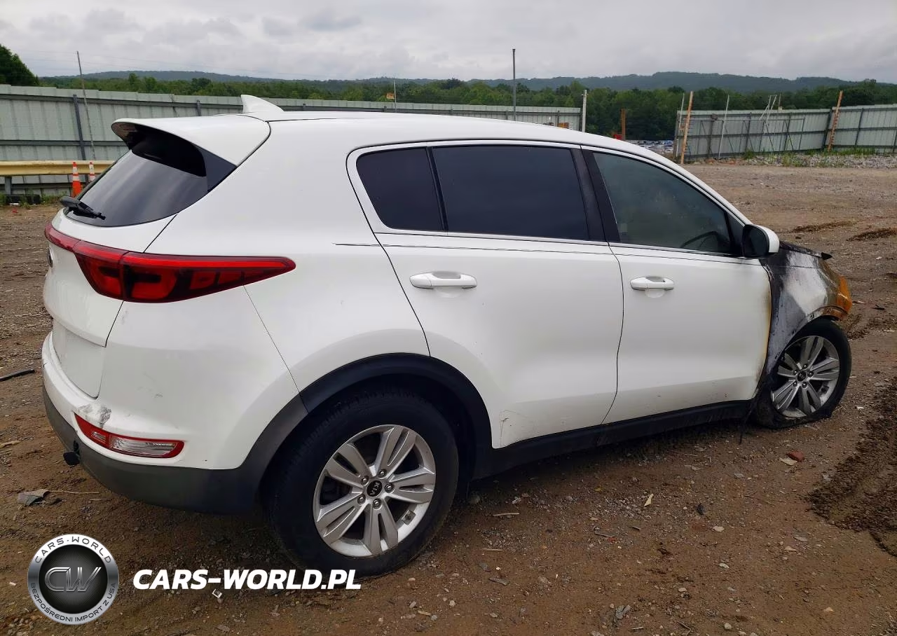 2019 Kia Sportage Lx VIN:KNDPM3AC2K7542627 - 3